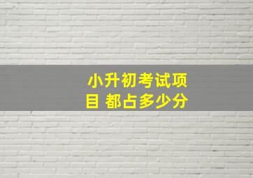 小升初考试项目 都占多少分